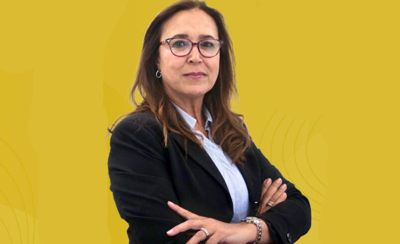 Moroccan Lawmaker Criticizes Early Race for 2026 Elections